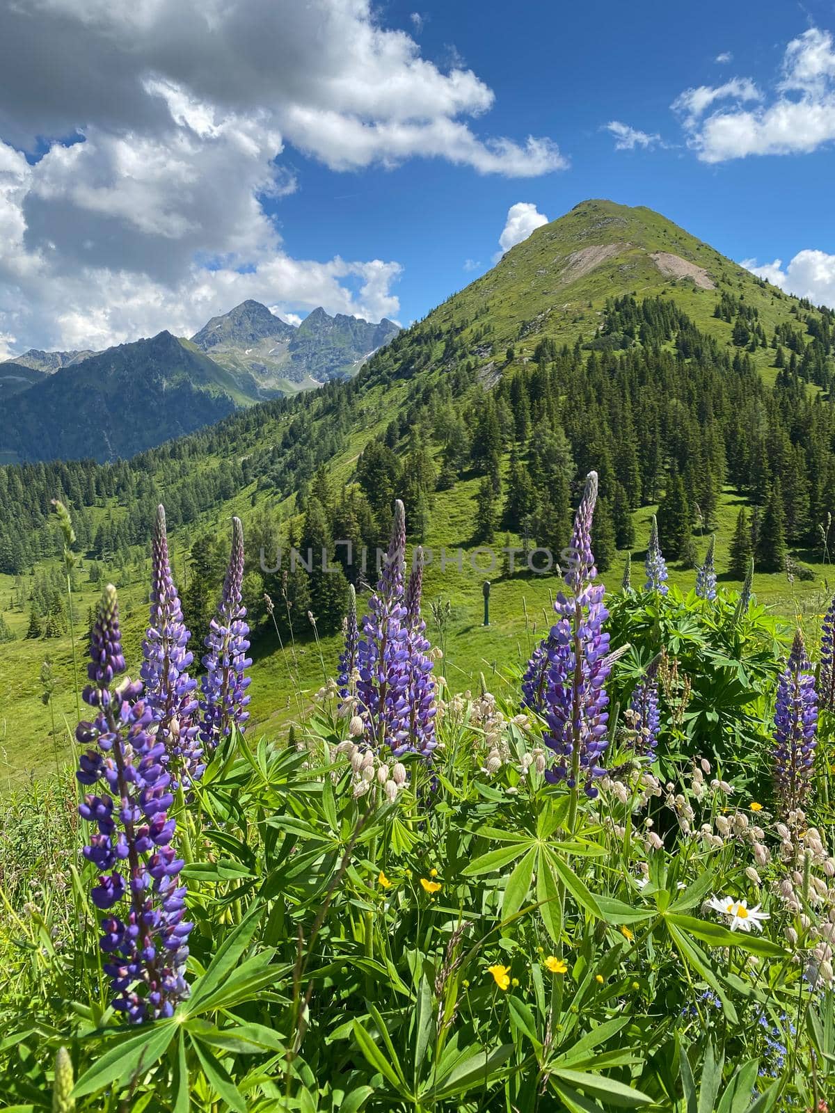 Summer scenery near the Krahbergzinken mountain, Austria. Krahbergzinken is a mountain situated west of Untertal valley and south-east of Schladming.
