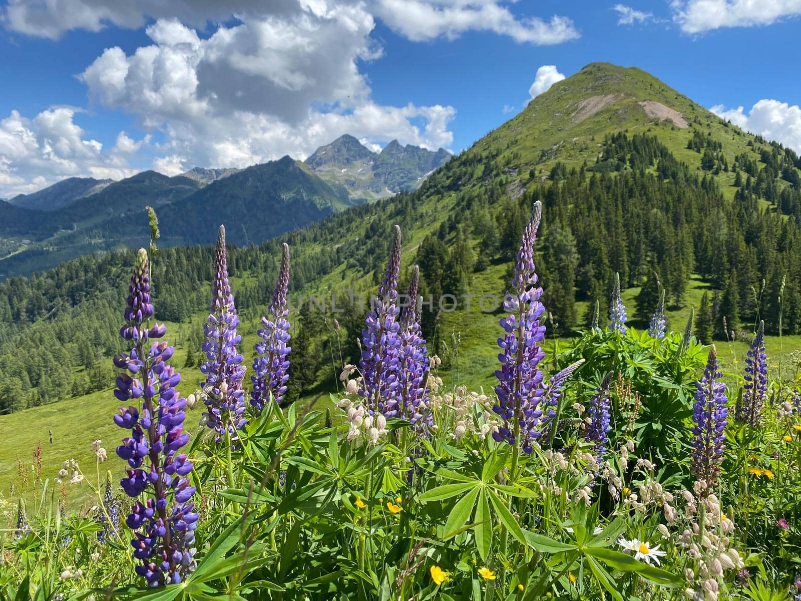 Summer scenery near the Krahbergzinken mountain, Austria. Krahbergzinken is a mountain situated west of Untertal valley and south-east of Schladming.