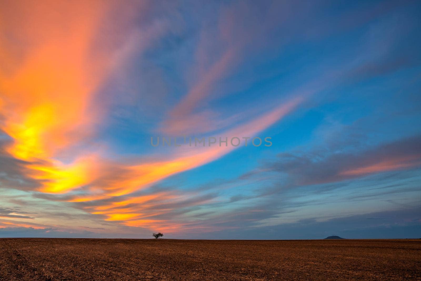 Amazing sunset on the empty field after harvesting. by CaptureLight