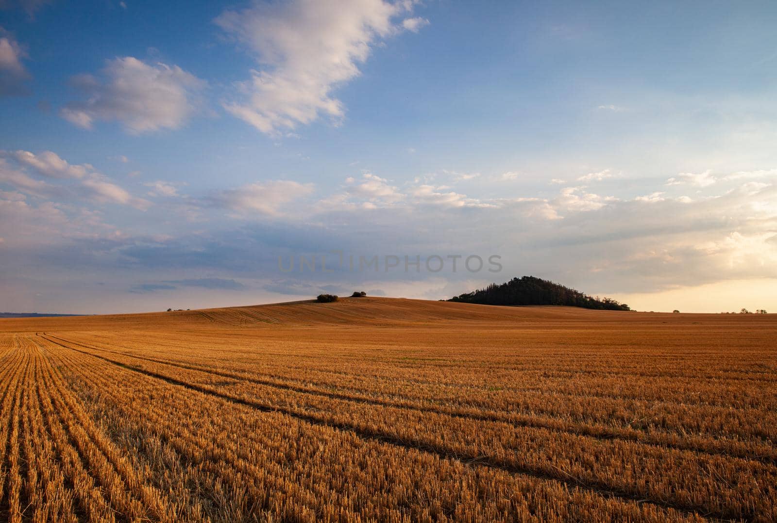 On the empty field after harvesting in summer evening. Czech Republic. Amazing sunset in Czech Bohemian Upland.