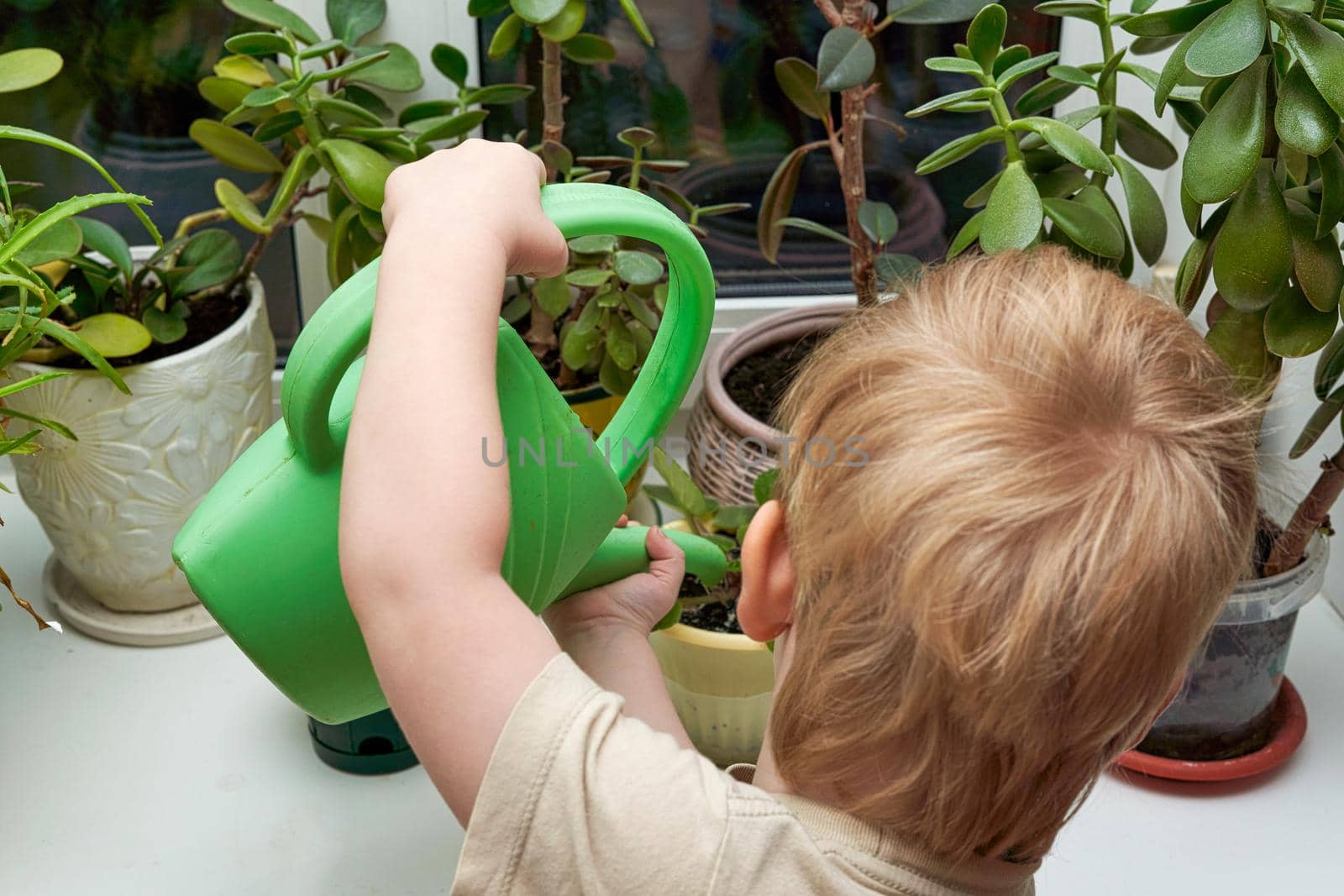 A little boy pours houseplants from green watering cans. Shot from the back
