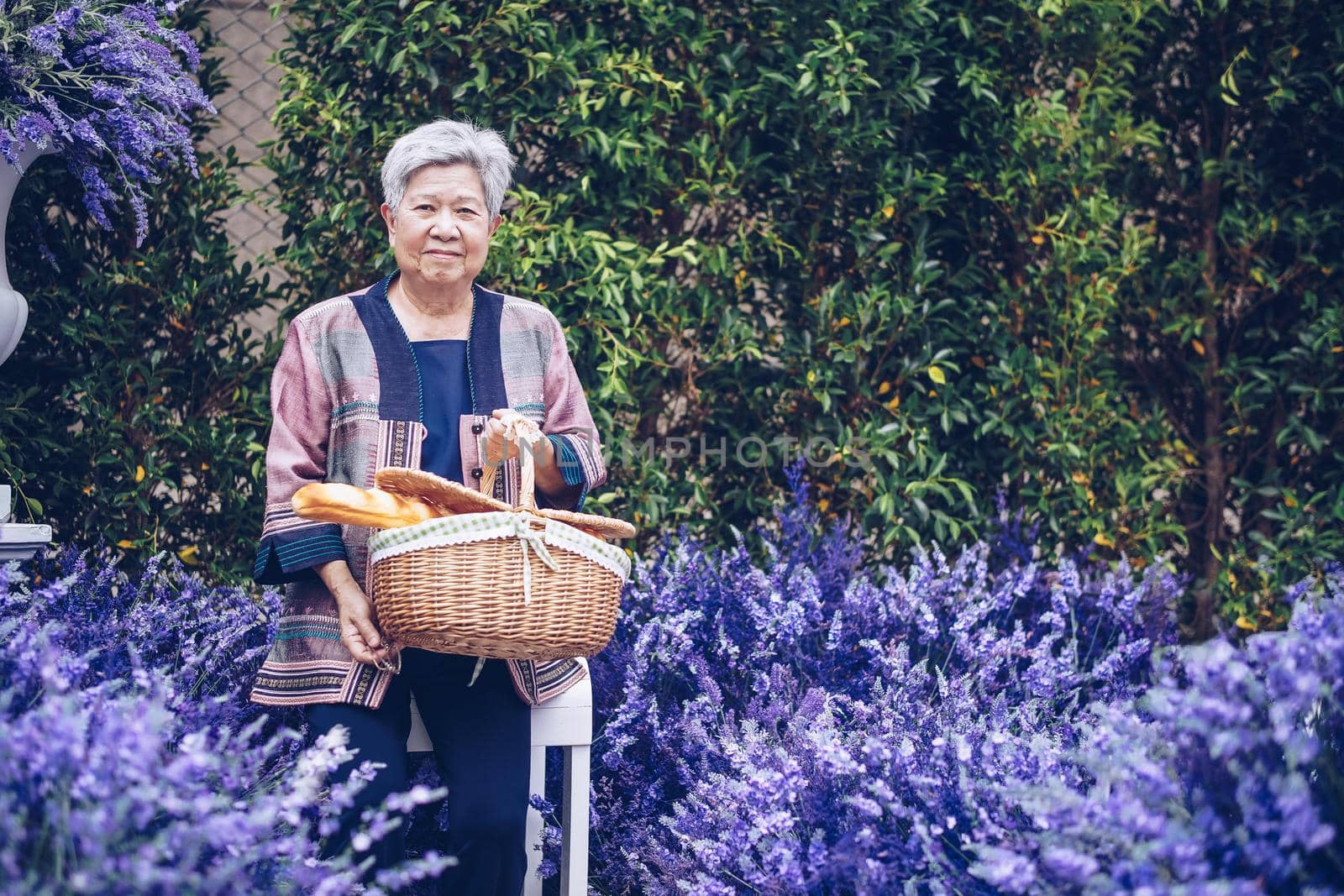 asian old elderly female elder woman holding picnic basket in lavender flower garden. senior leisure lifestyle