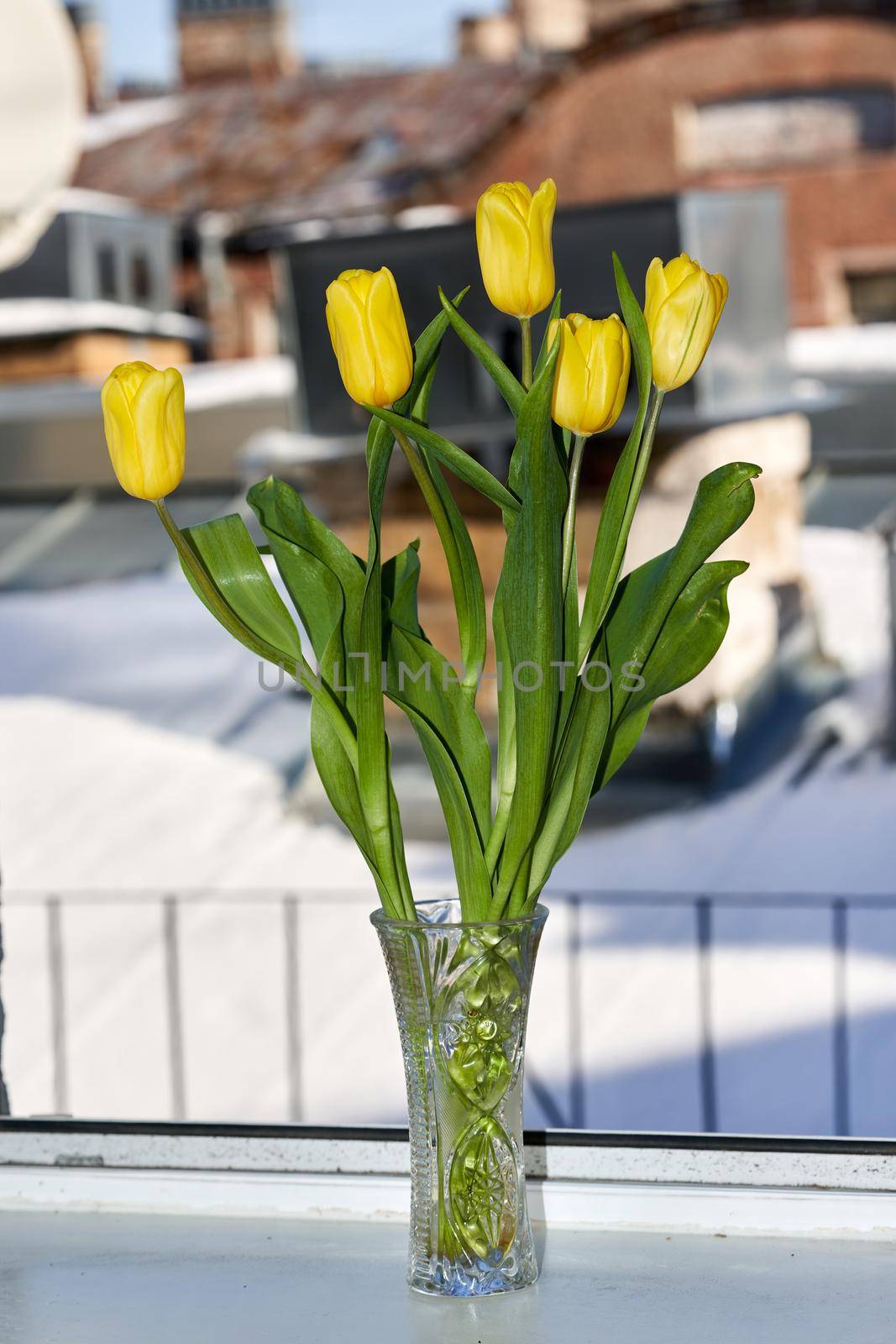 A bouquet of yellow tulips in a crystal vase on a windowsill. Vertical frame against the view from the window