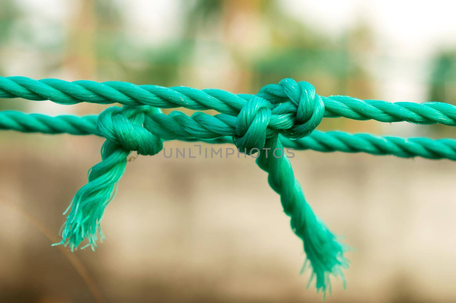 Rope tie knot Closeup. Rope with a two tied knot in the middle isolated from background. A symbol of trust, strength, safety support faith and togetherness concept. Illustrative conceptual photography by sudiptabhowmick
