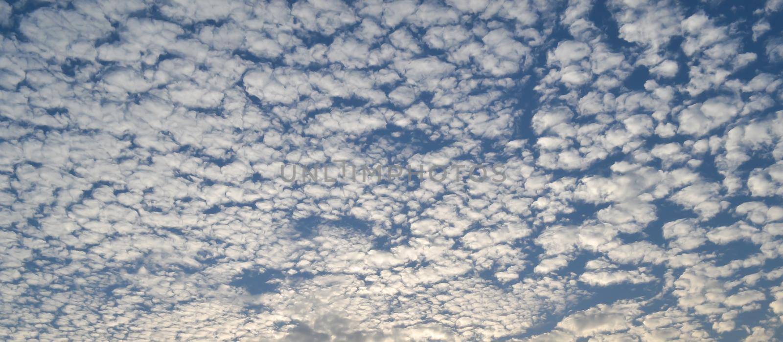 Cloud sky background. Beautiful cotton clouds floating in sunset sky. Dramatic atmospheric mood. Beauty in nature.