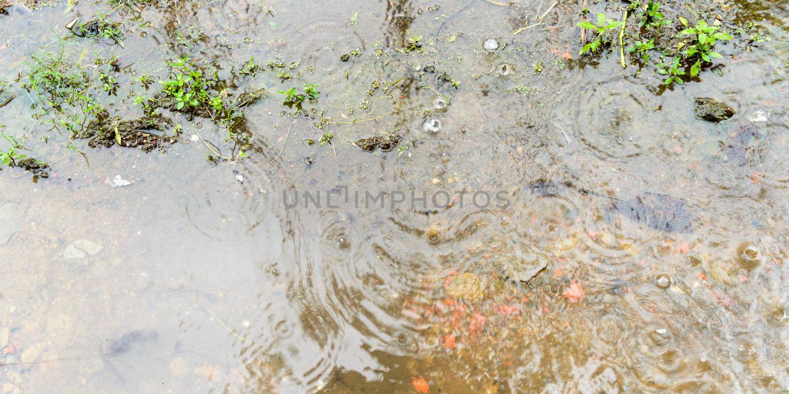 Monsoon Rain water flowing on the ground. Rain water falling and flowing on the earth photographs. Close up. Beautiful rainy season nature background. Close up.