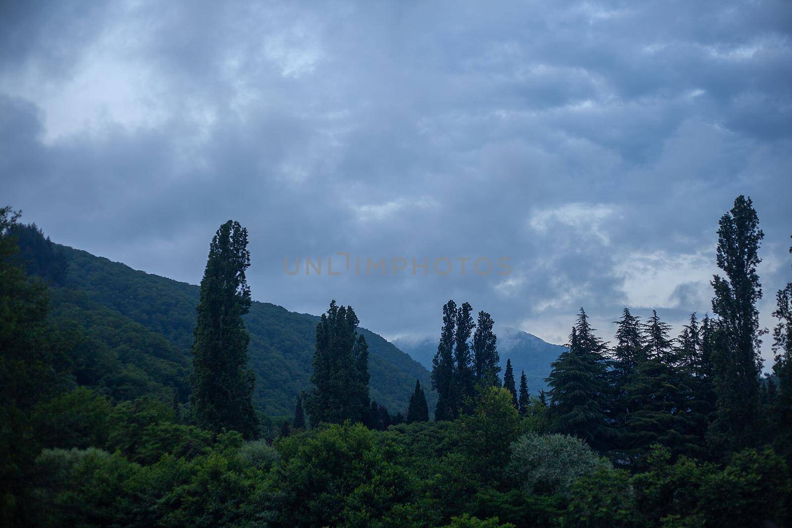 Cloudy evening in the mountains by Angorius