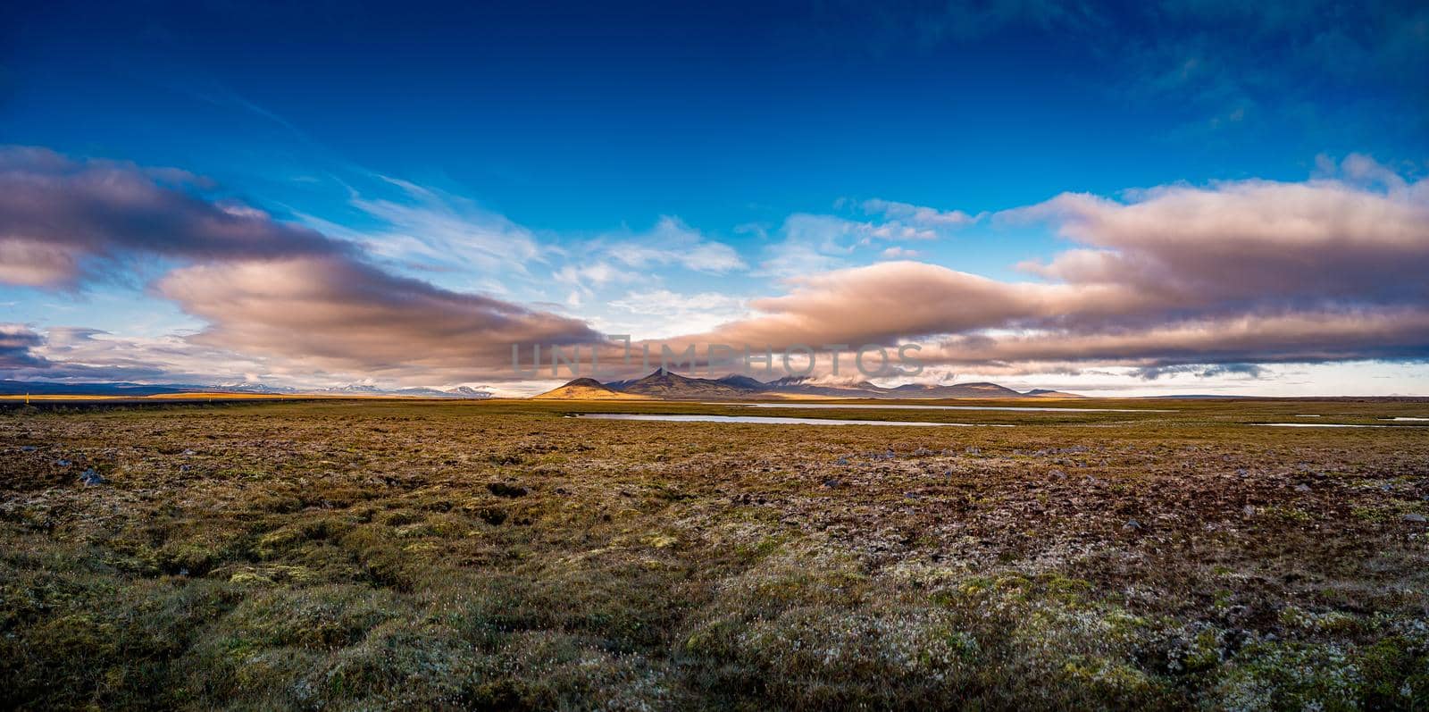 Panoramic view over beautiful colorful sunset landscape with ancient moss and lichen, tundra flowers and meadow fields near Snaefell volcano in Iceland