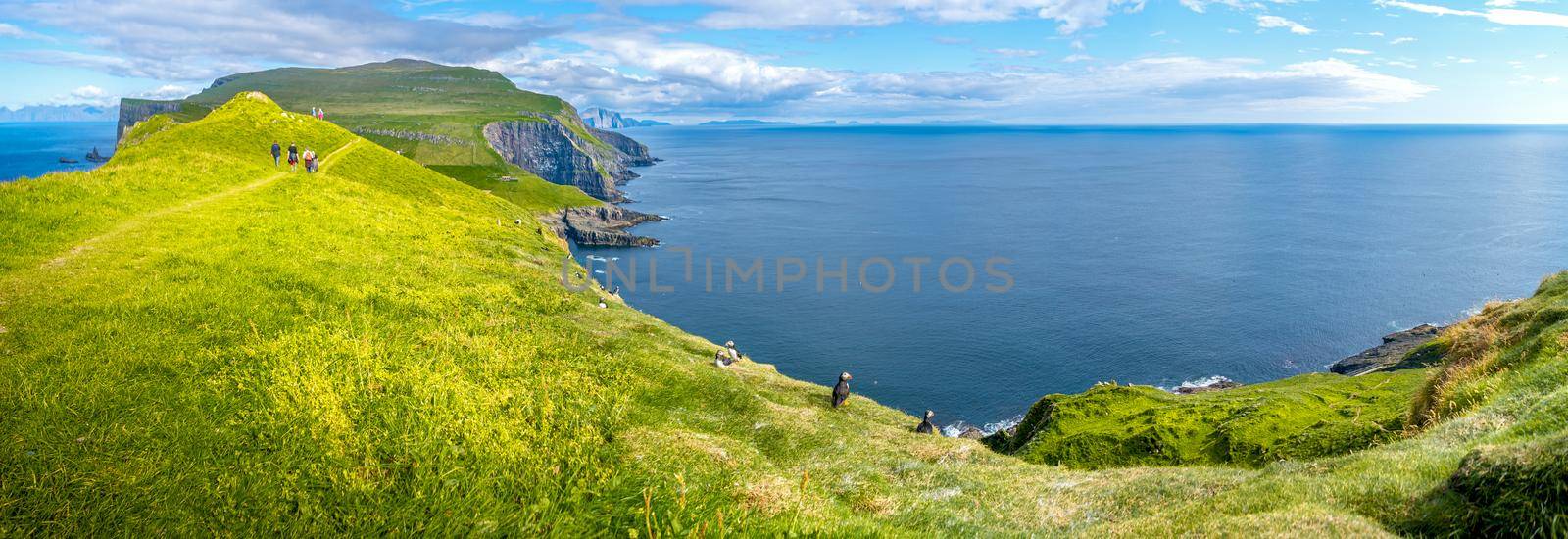 Panoramic view over mythical Faroe Island Mykines in the middle of Atlantic Ocean with a lot of puffins, parrot like seabirds, and hikers