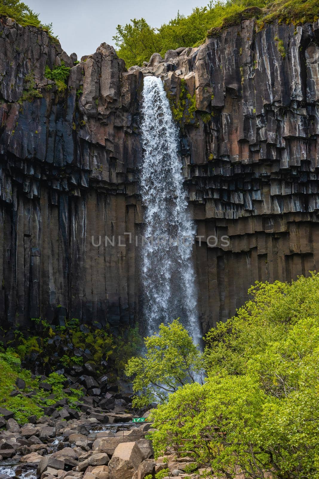 Wonderful and high Svartifoss waterfall with black basalt columns on South Iceland, summer time