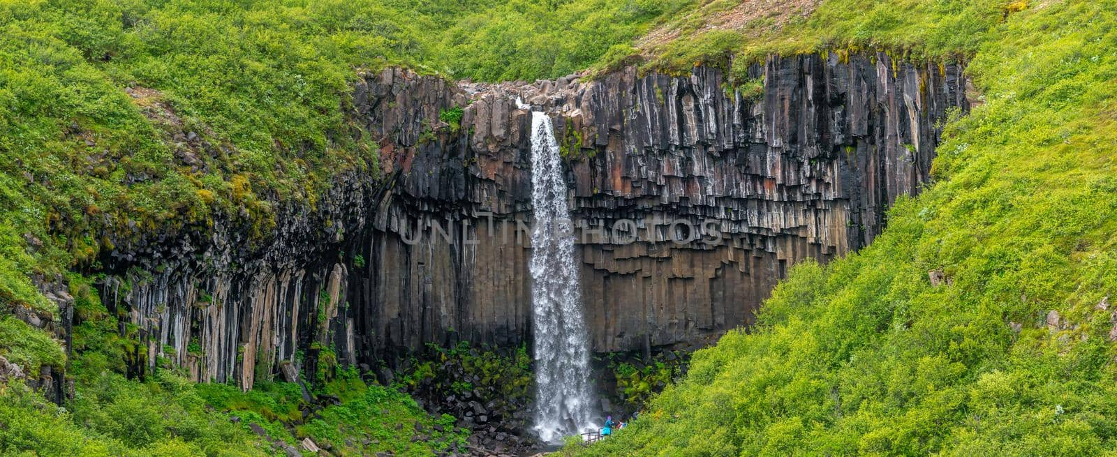 Wonderful and high Svartifoss waterfall with black basalt columns on South Iceland, summer time