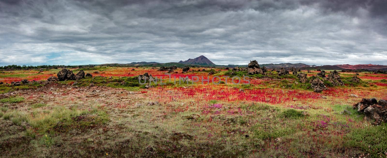 Panoramic view of lava field near lake Myvatn, town Reykjahlid, and volcanoes Hverfjall and Krafla on Iceland