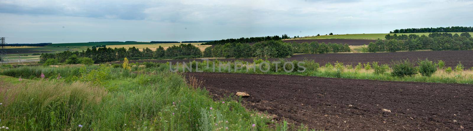 Summer landscape with arable, forest belts and fields