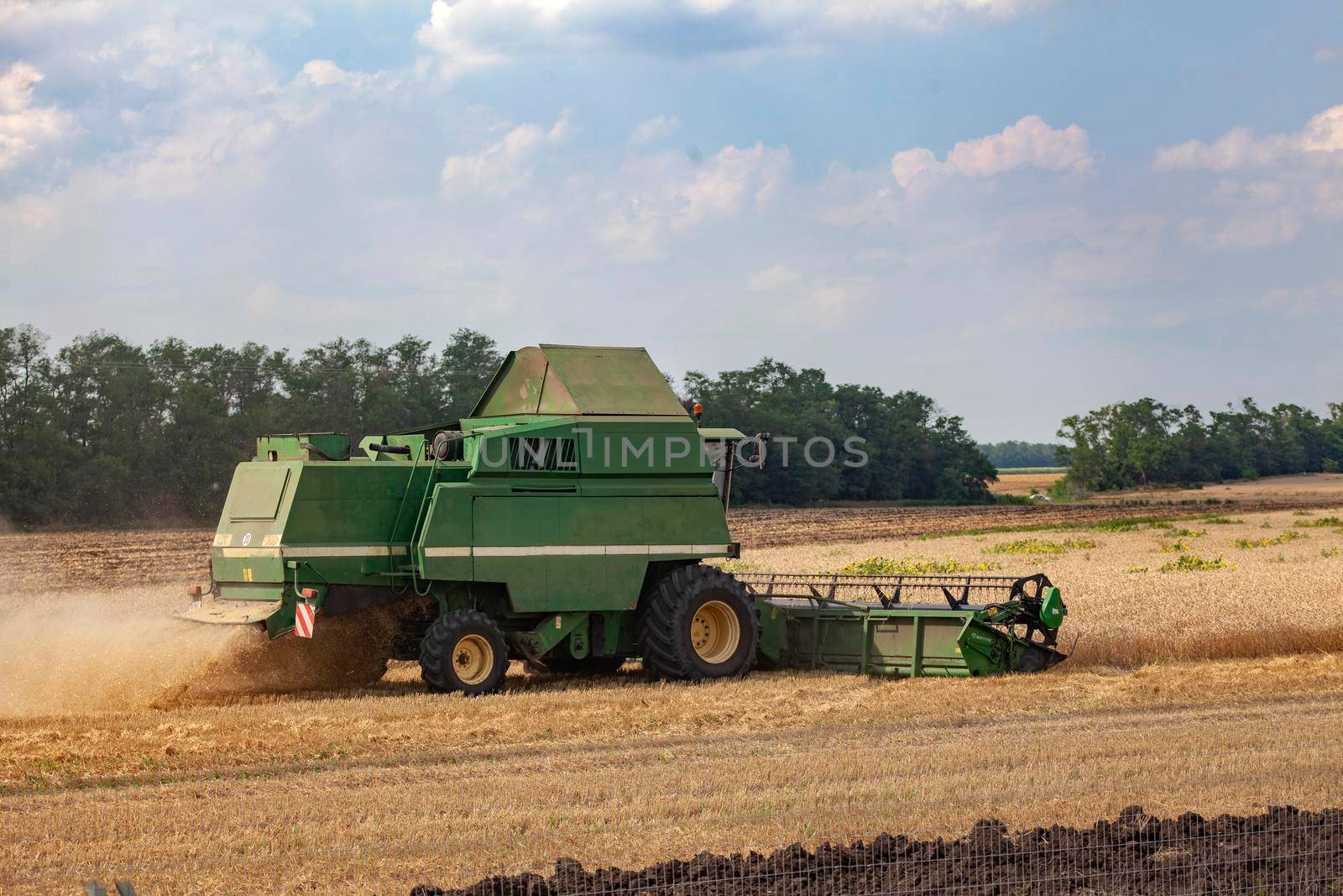 Summer landscape with combine harvester that mows wheat