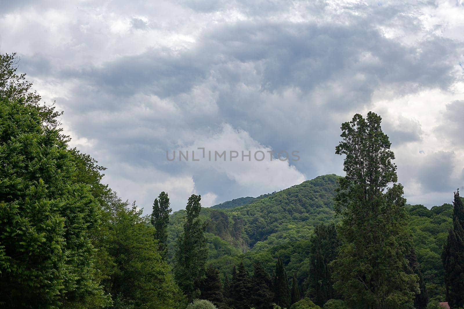 Cloudy summer day in the mountains
