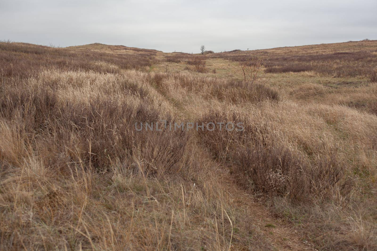 Steppes landscape ath the late autumn