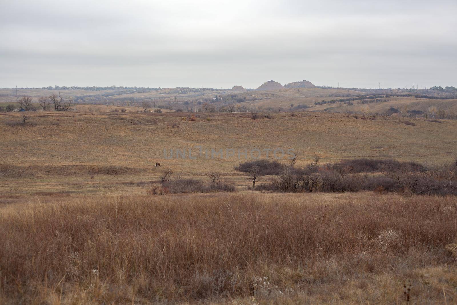 Steppes landscape ath the late autumn with slagheap