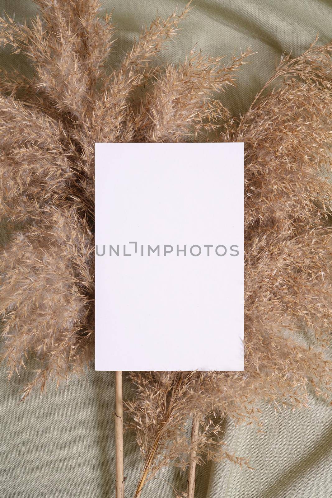 White blank paper card mockup with pampas dry grass on a green neutral colored textile