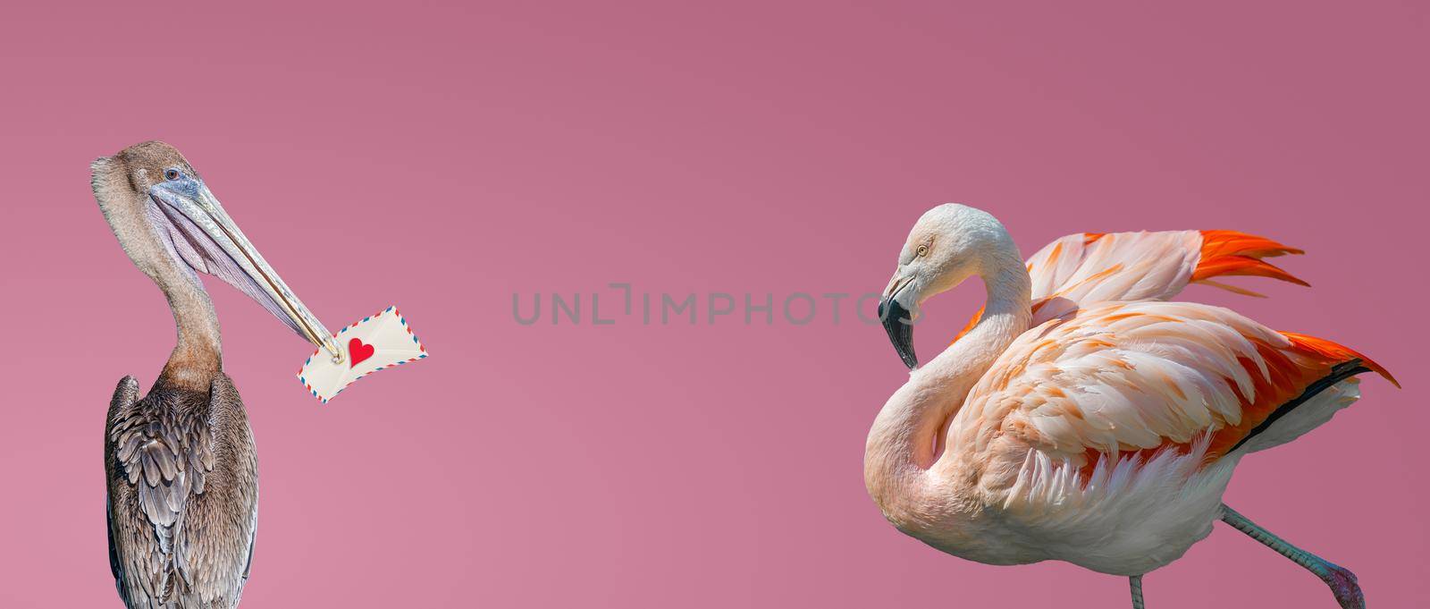 Banner with a pelican holding in his beak a love letter for a beautiful rosy flamingo at gradient pink background with copy space for text. Love, dating and glamour concept