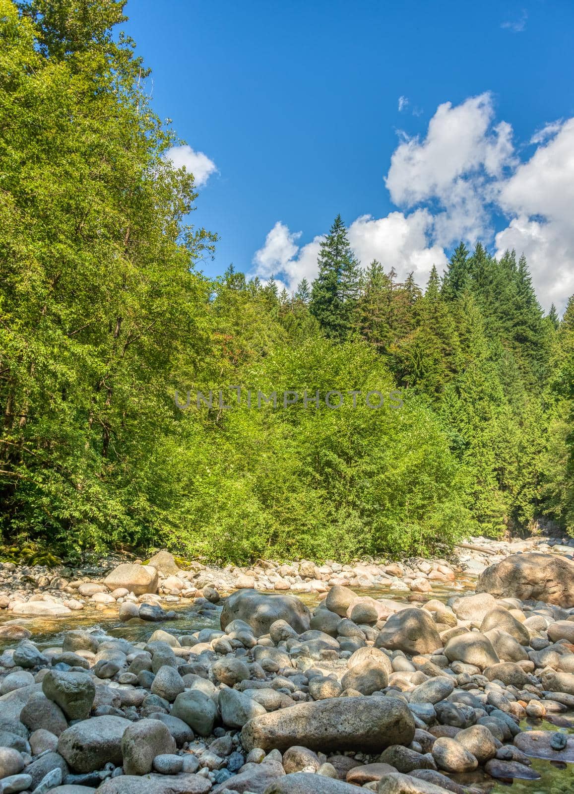Dried stoney waterway of montailn river on bright summer day.