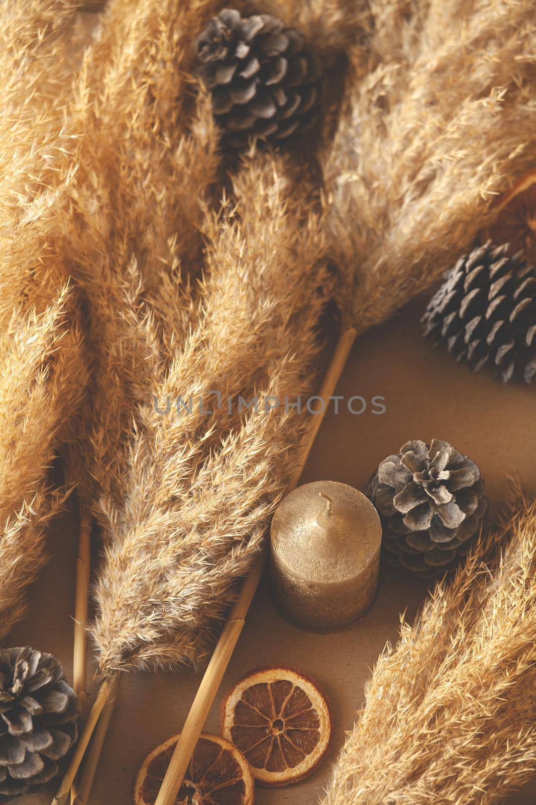 Decorative Branches Of Pampas Grass Set On The Floor by mpessaris