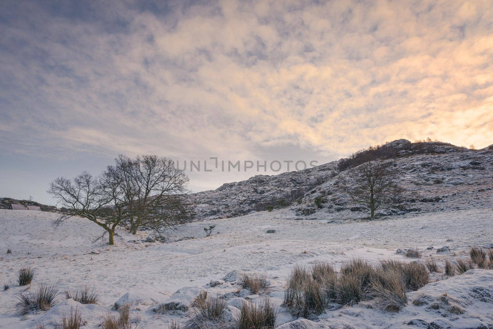 A calm and quiet area that is part of old farm that was in use long time ago  - build in the period of 1855-1870.