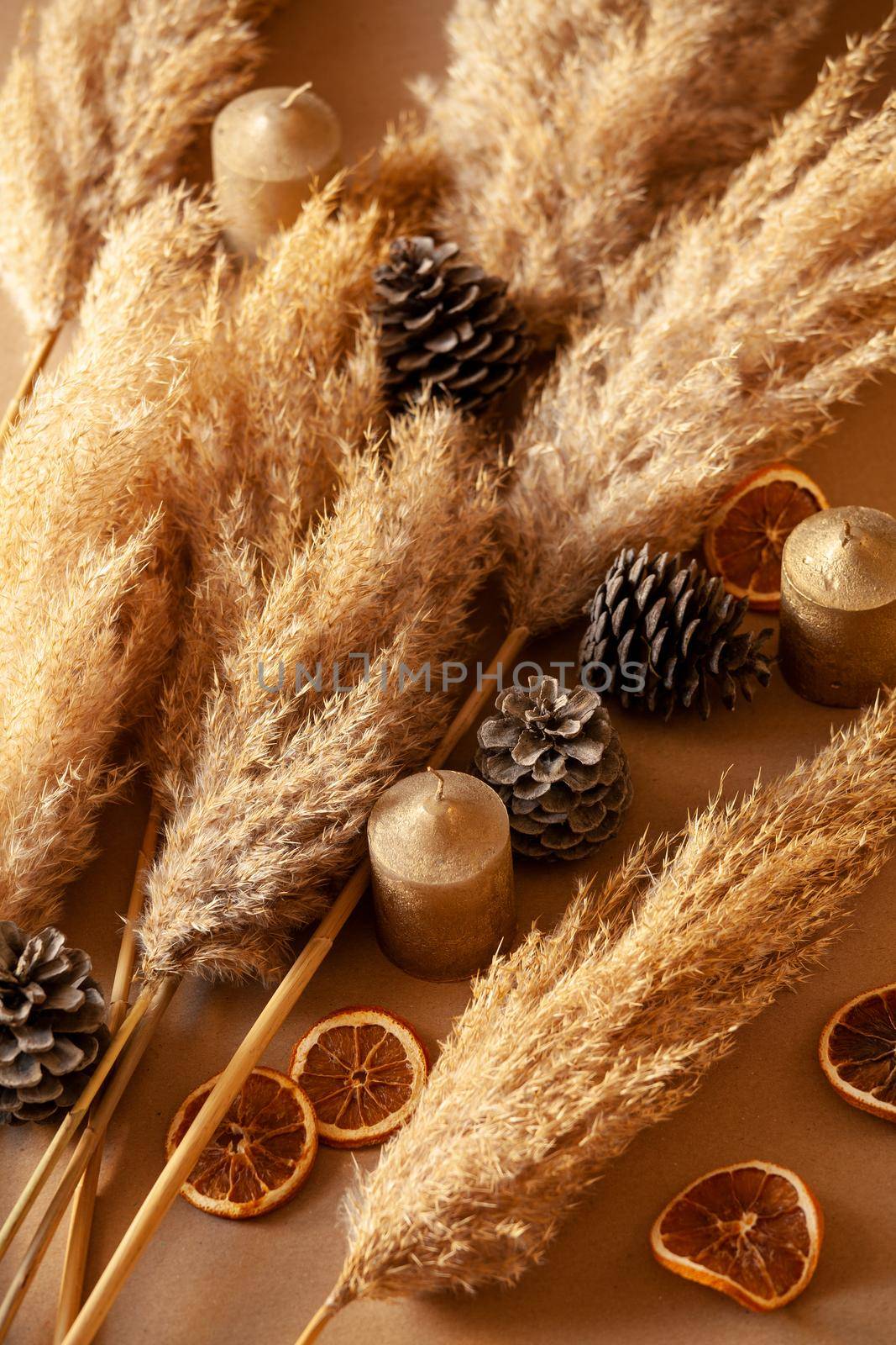 Decorative Branches Of Pampas Grass Set On The Floor by mpessaris