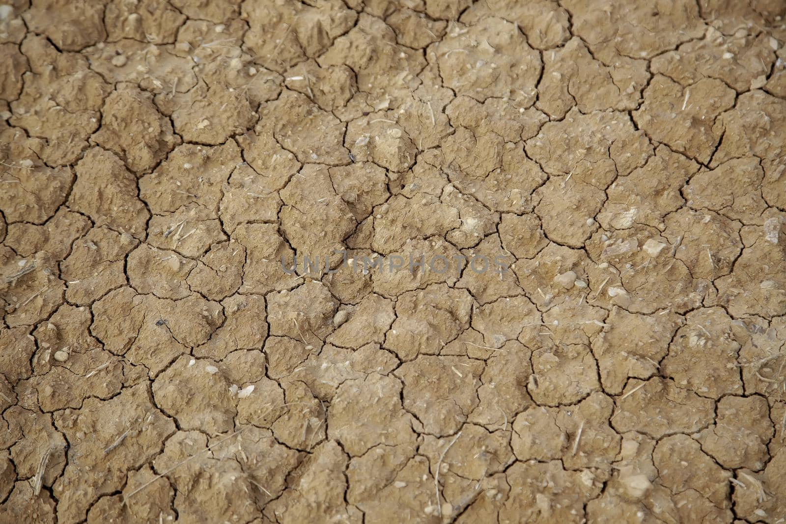 Detail of drought and climate change, desolation and destruction