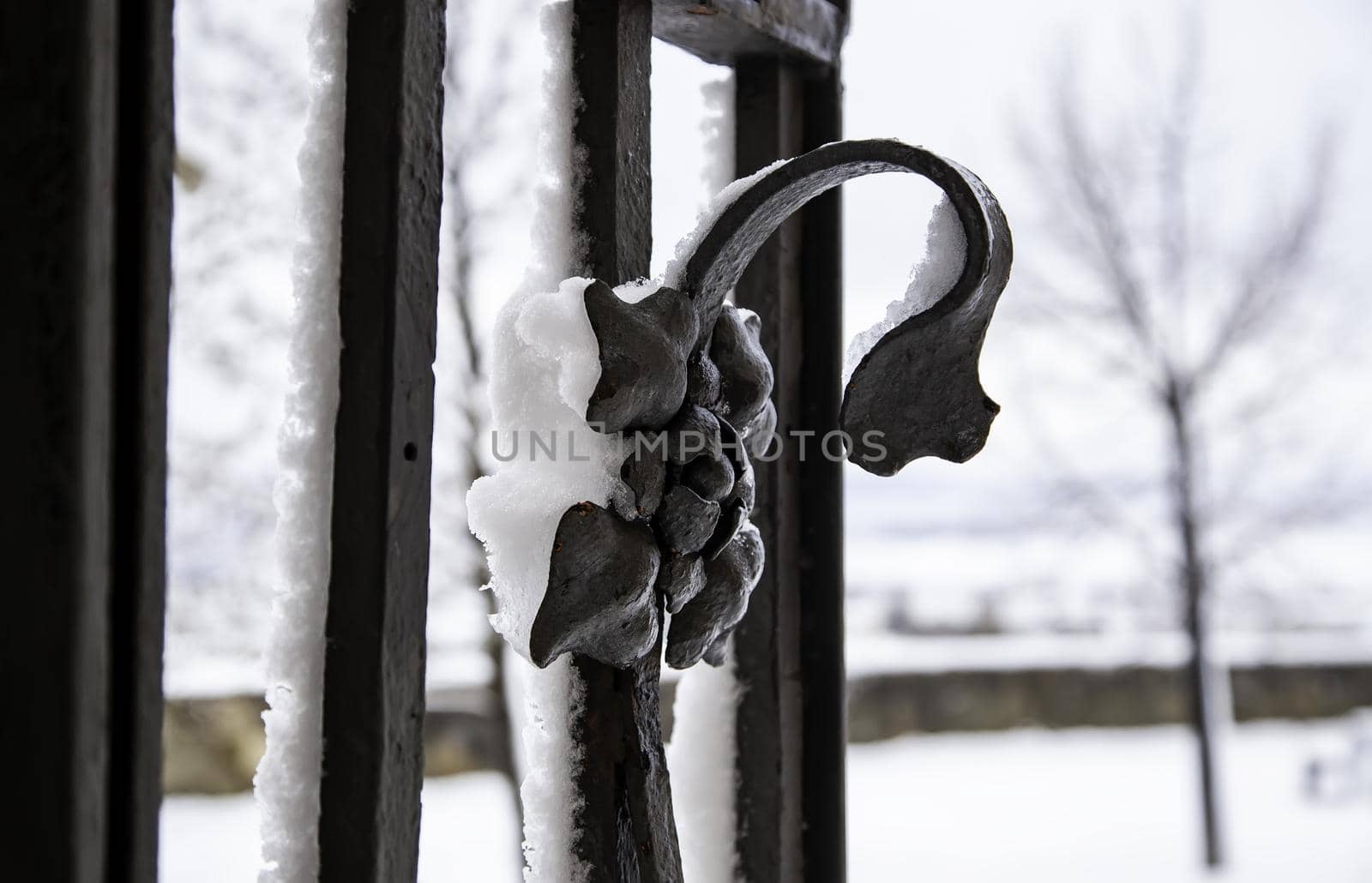 Detail of metal protection forging filled with snow on a cold winter day by esebene