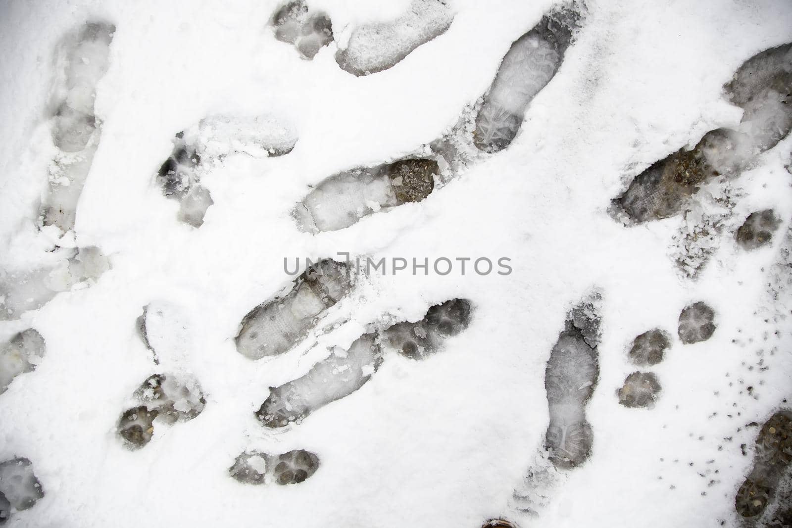 Footprints in the snow by esebene