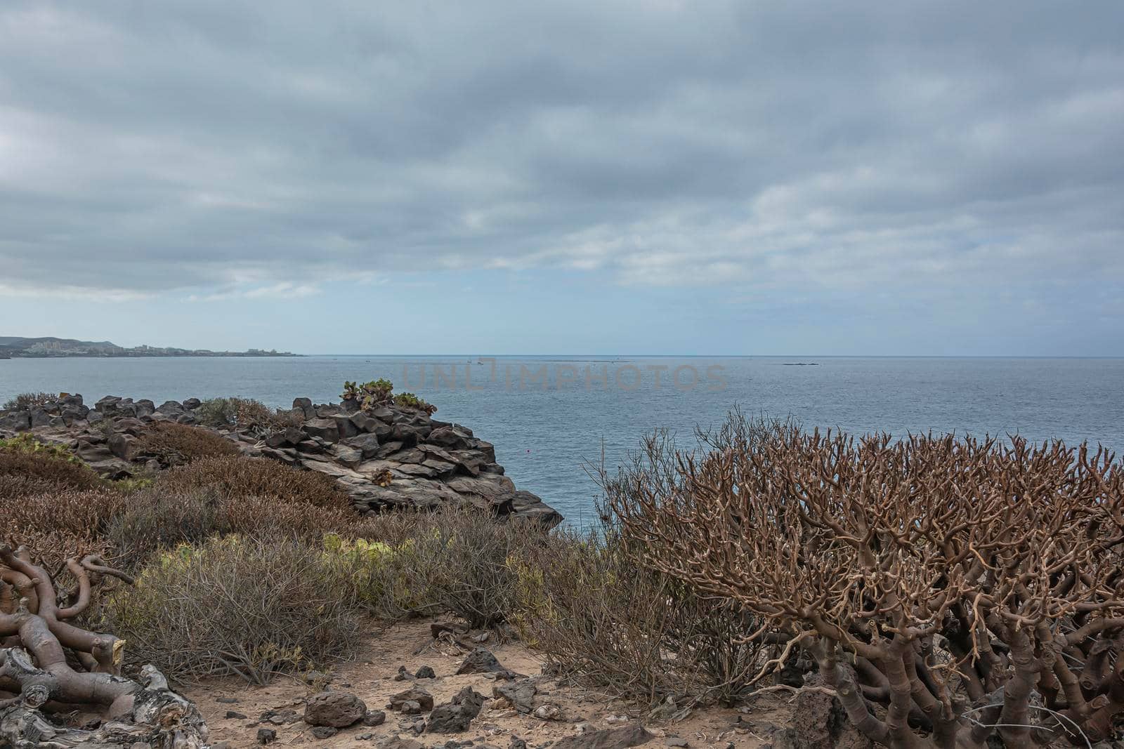 Landscape. The rocky coast of the island of Tenerife (Spain). Stock photo.
