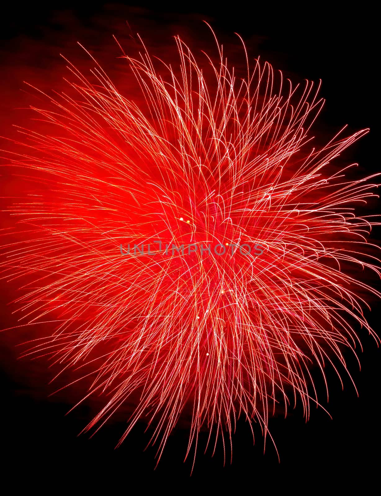 Colorful fireworks isolated on black sky background.