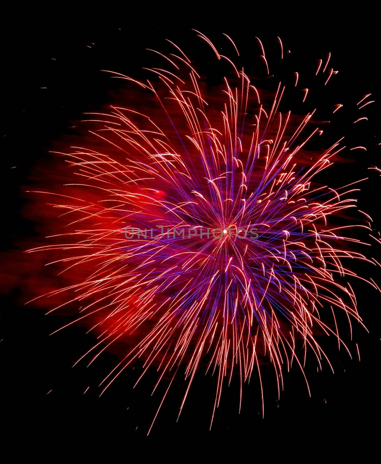 Colorful fireworks isolated on black sky background.