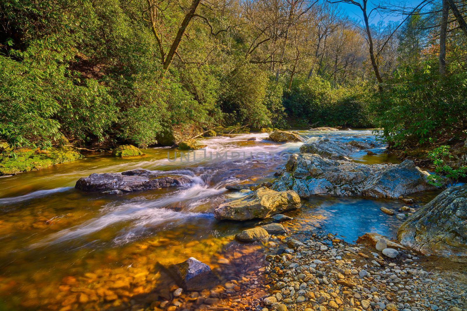 Mills River in Pisgah National Forest North Carolina. by patrickstock