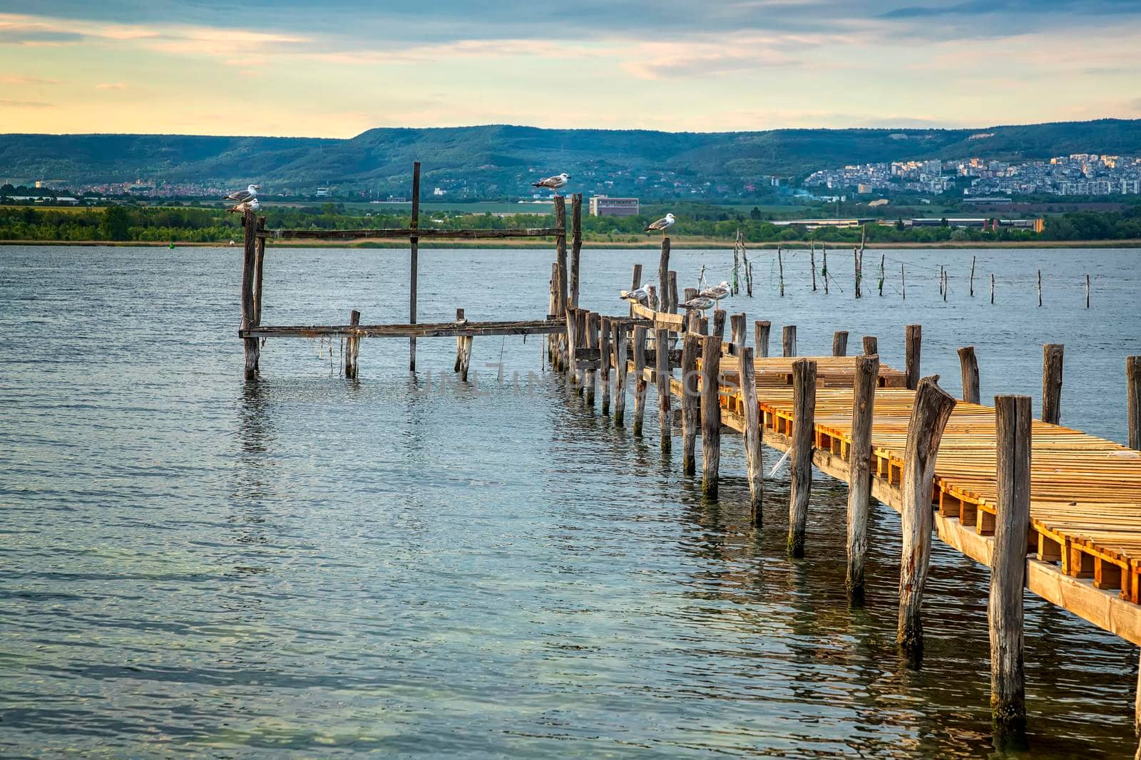 Exciting sunset at the shore with a wooden pier and sitting gulls. by EdVal