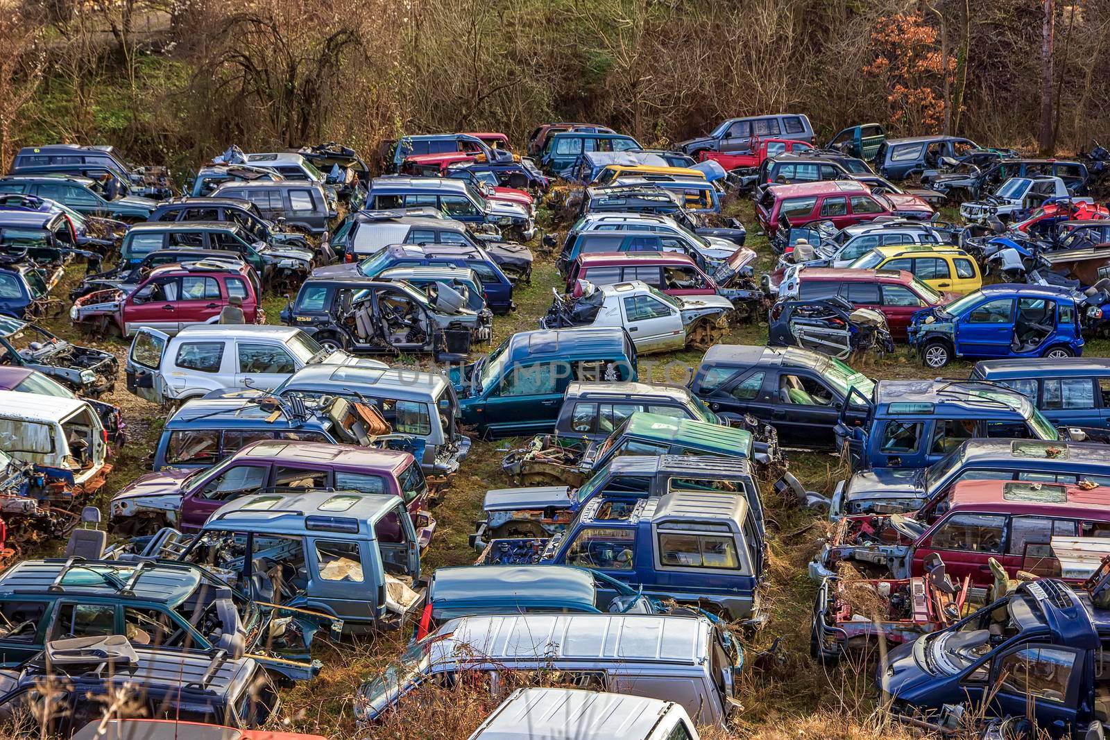 Many cars in a scrapyard with bonnets up and parts missing like tires by EdVal