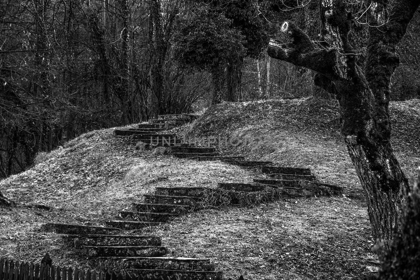 Mystery stone stairs in the forest by EdVal