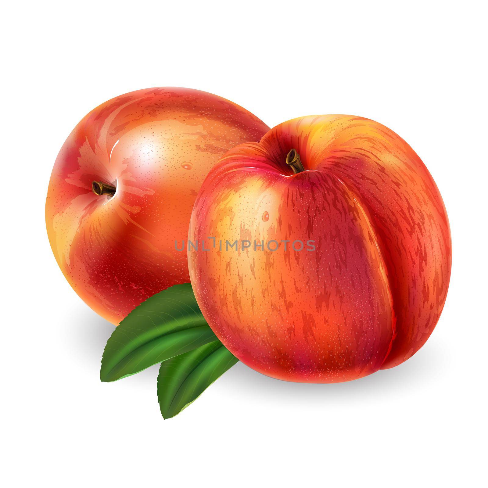 Fresh ripe peach - healthy food design. Realistic style illustration.