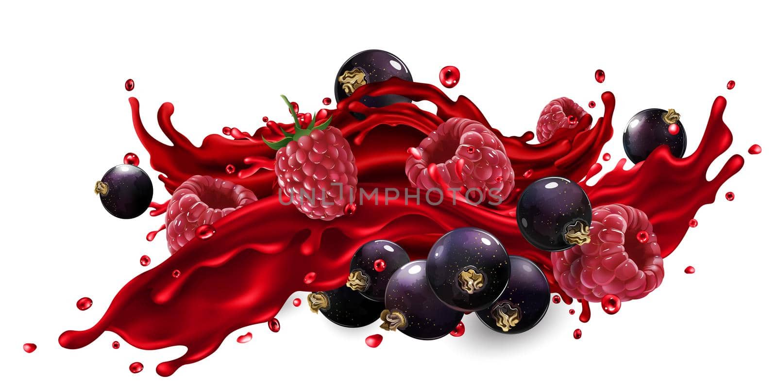 Fresh black currant and raspberry in a splash of fruit juice on a white background. Realistic style illustration.