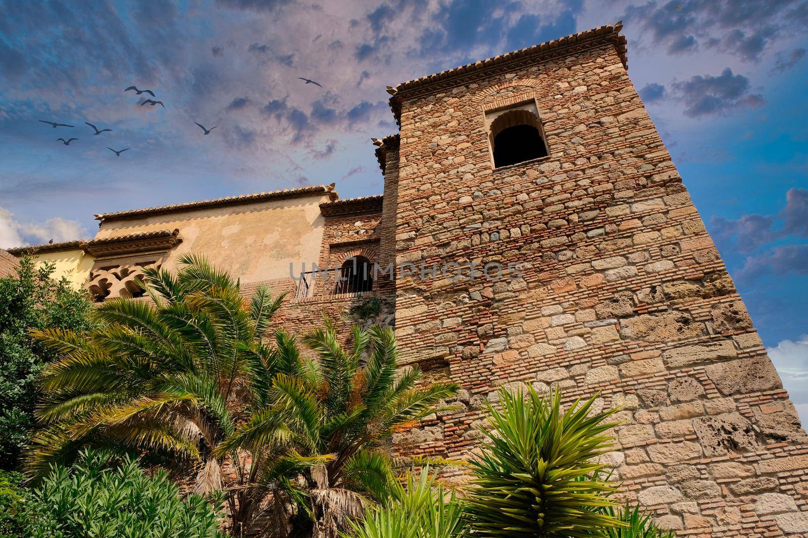 La Alcazaba in Malaga by JCVSTOCK
