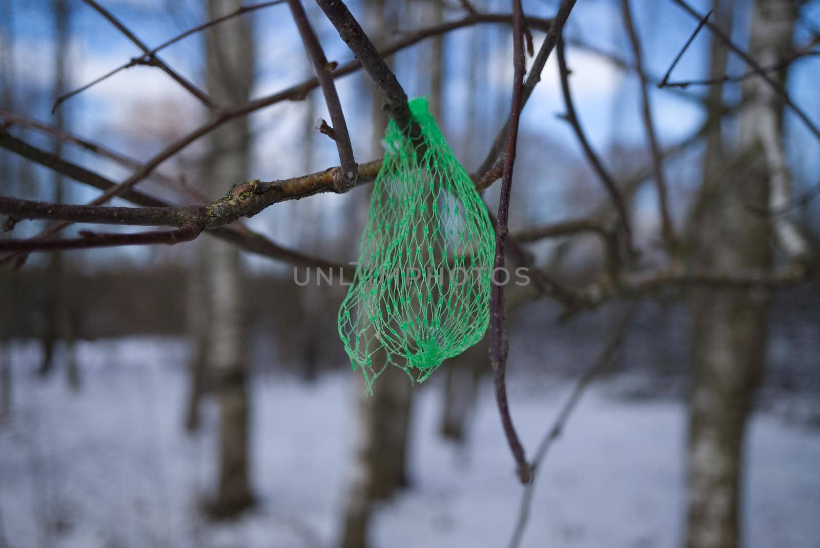Small green plastic net bag for retail packaging of produce caught in a tree hanging from a branch against a sunny blue sky in a pollution concept