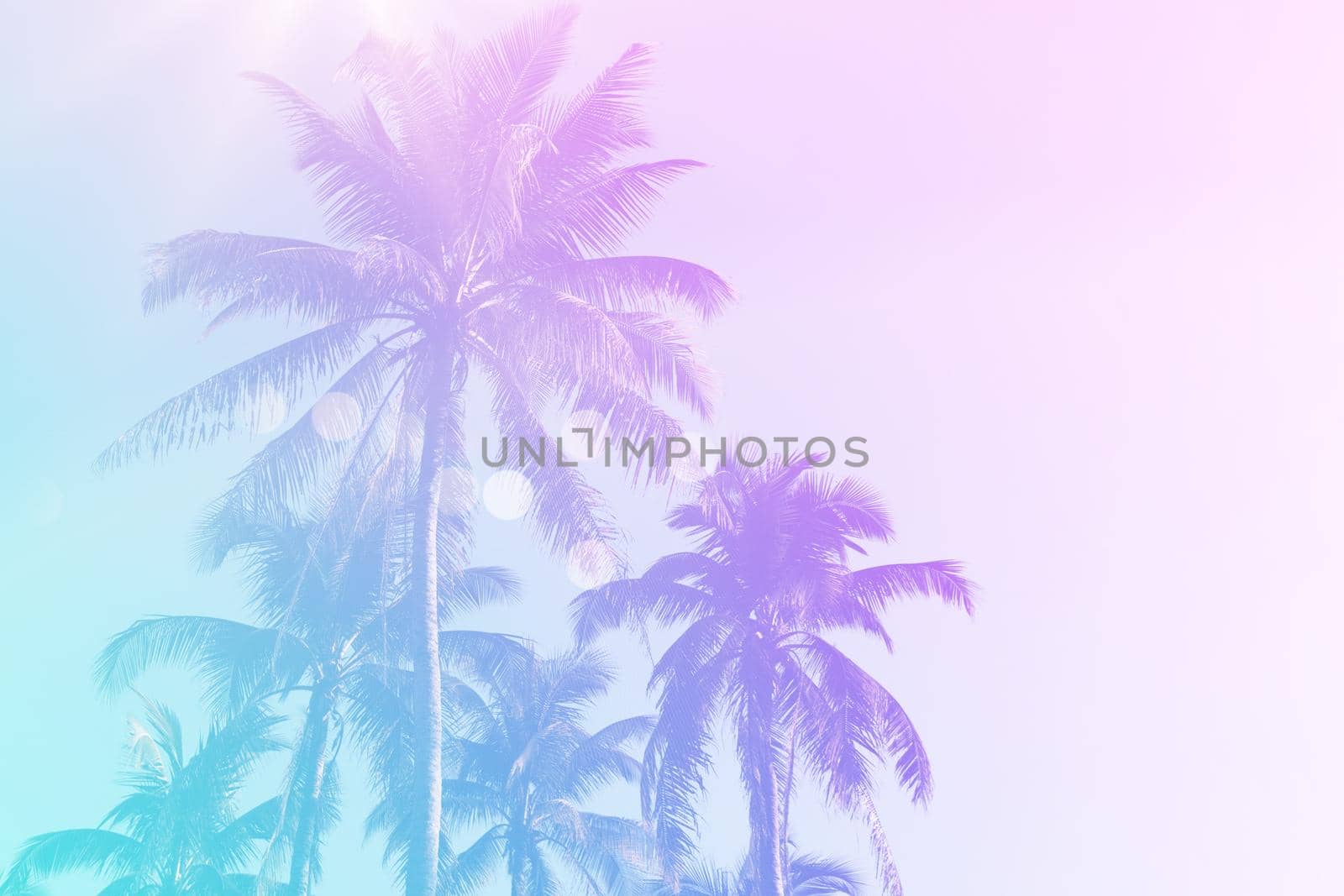 Tropical palm coconut trees on sunset sky flare and bokeh nature background. by Suwant