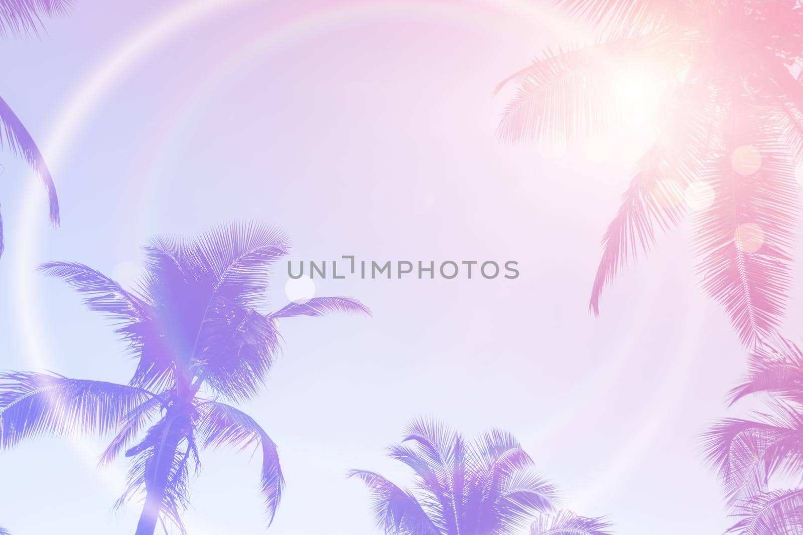 Tropical palm coconut trees on sunset sky flare and bokeh nature colorful copy space summer concept background.