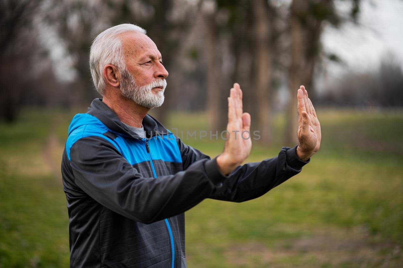 Senior man is practicing Tai Chi exercise in park.