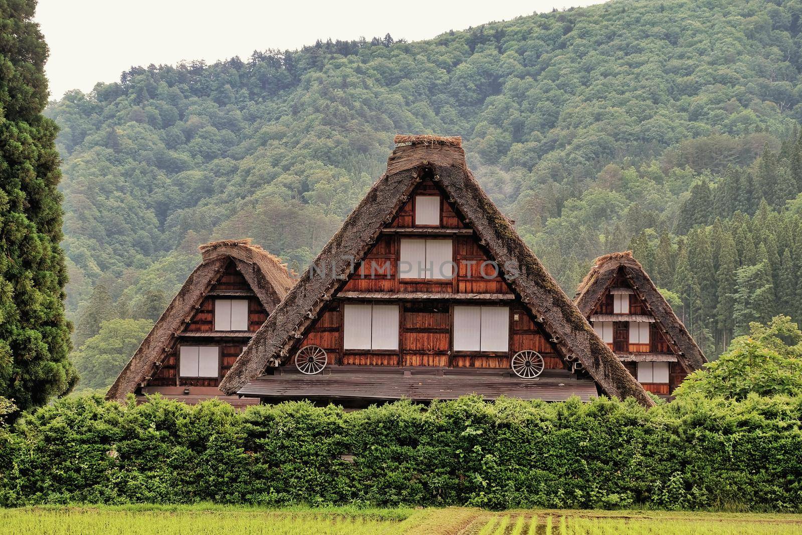 Shirakawago Village World Heritage in Autumn and mountain background, Japan