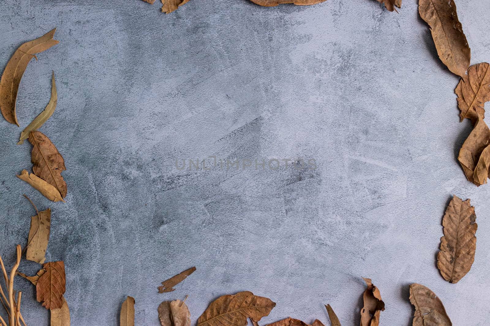 Marbling gray background with dried leaves on the edge