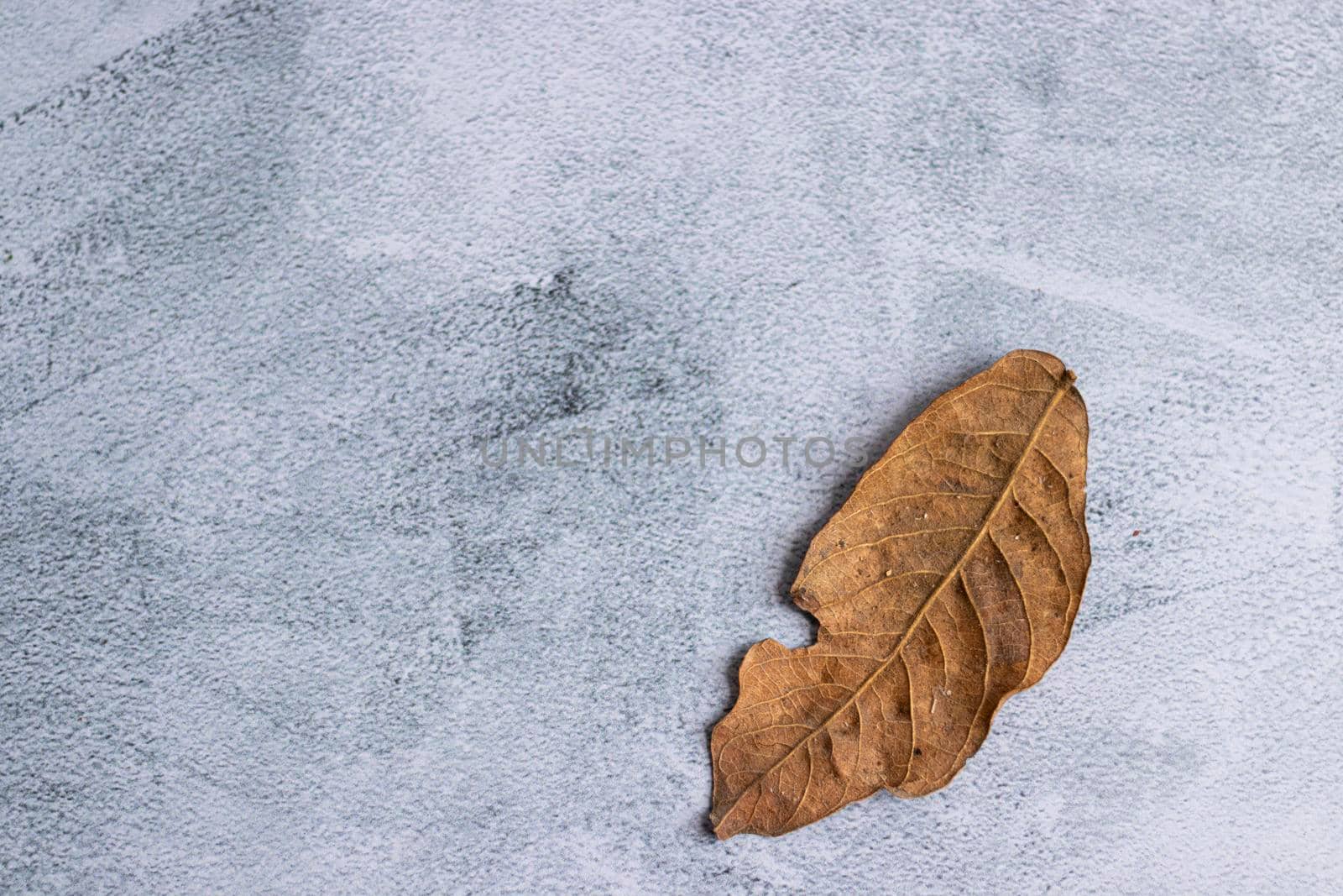 Marbling gray background with dried leaves on the edge by eagg13