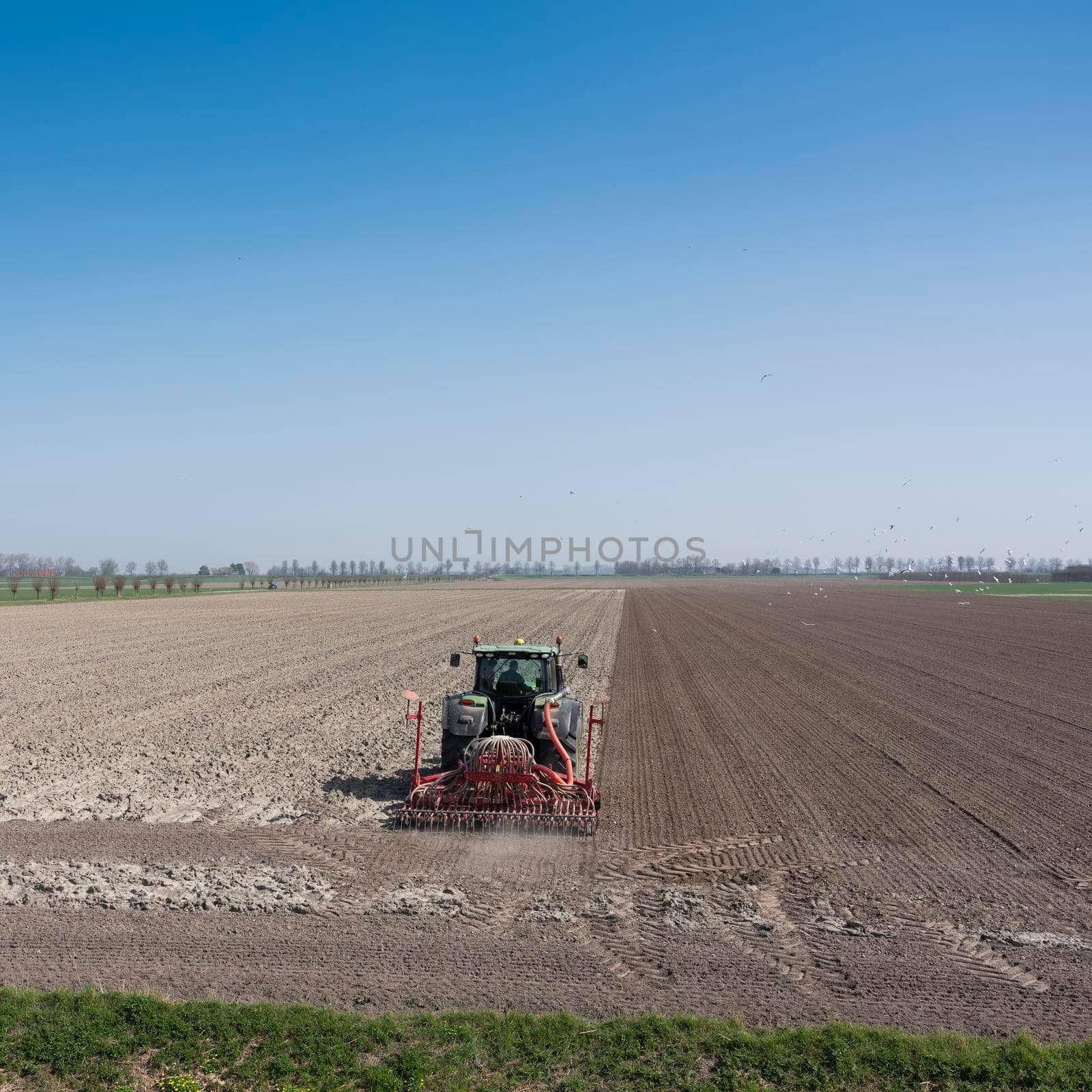farmer works his land on rural countryside of noord beveland in dutch province zeeland on sunny spring day under blue sky in the netherlands