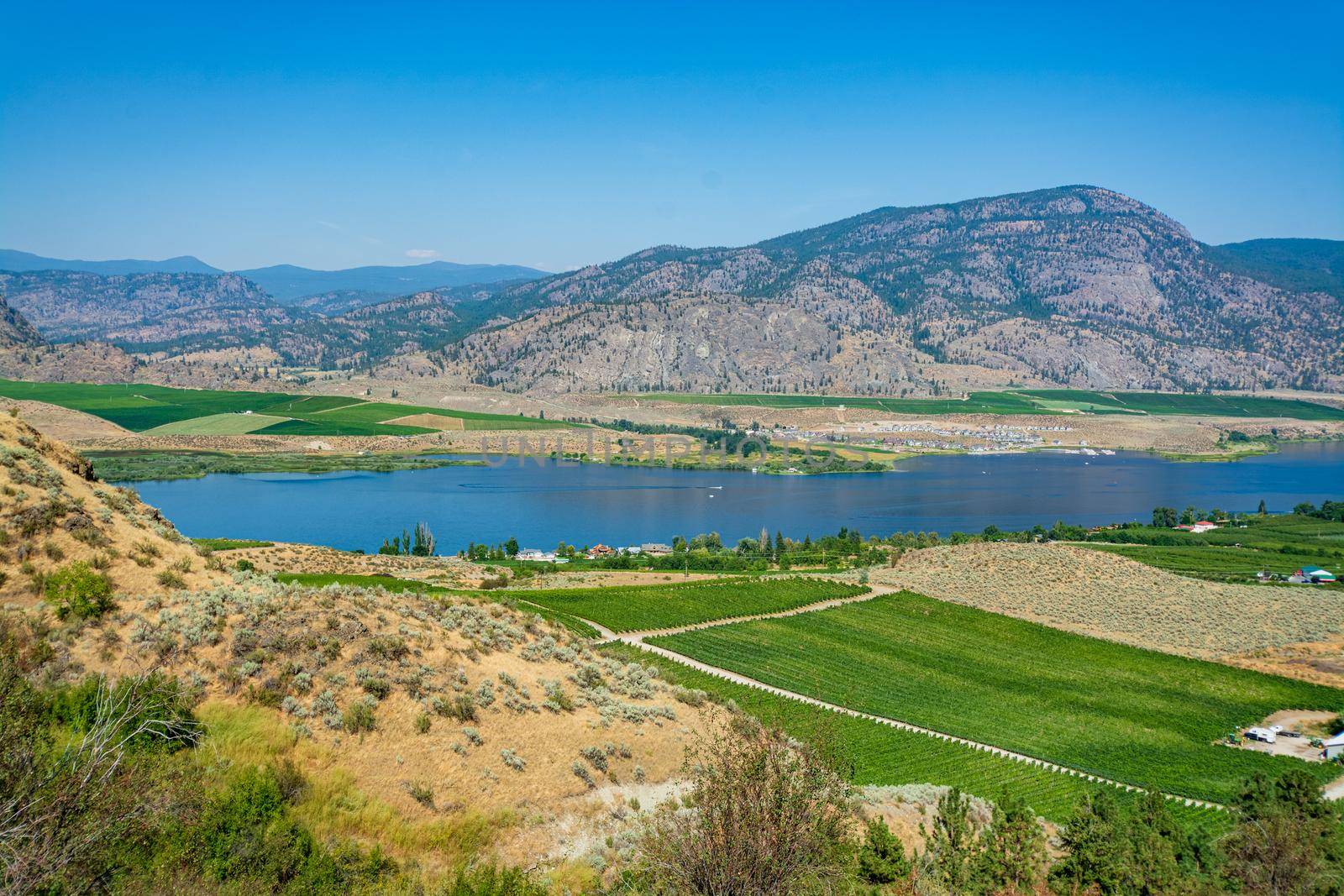 Okanagan valley panoramic view with residential area and orchard farm fields by Imagenet