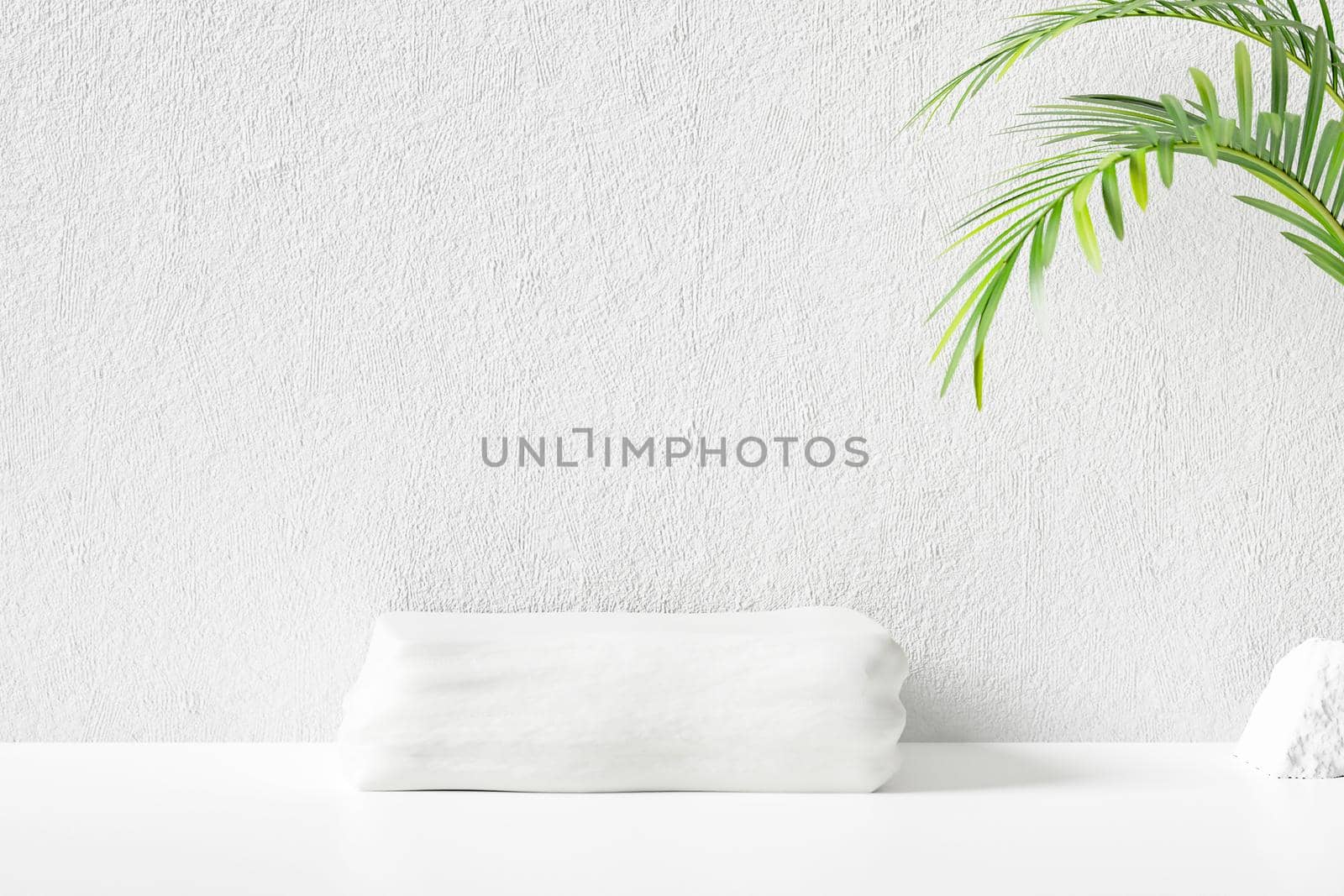 Tropical abstract background with white wall for display product. 3D rendered